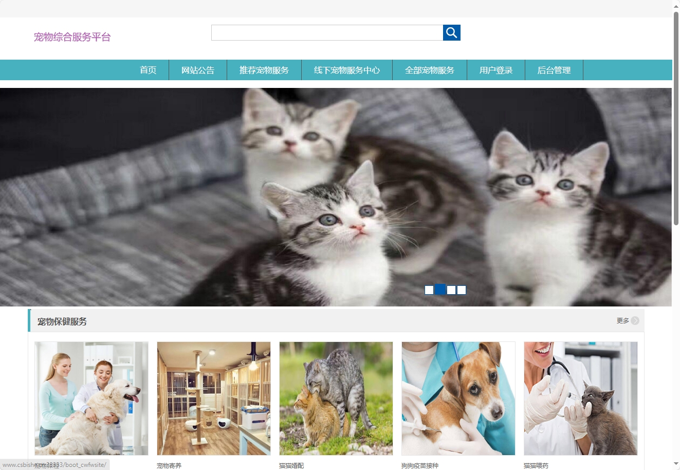 基于协同过滤的宠物医疗美容服务推荐系统 - 查看网站首页.png界面截图