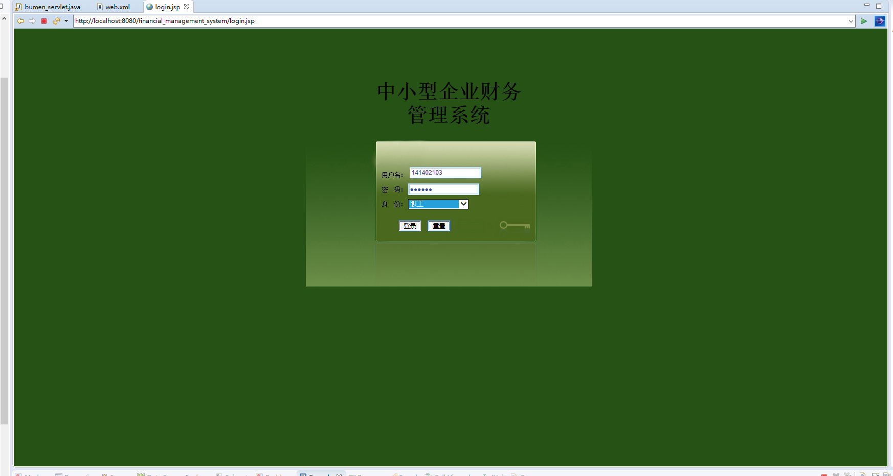 基于JSP+Servlet的企业财务管理系统 - 项目主图界面截图预览