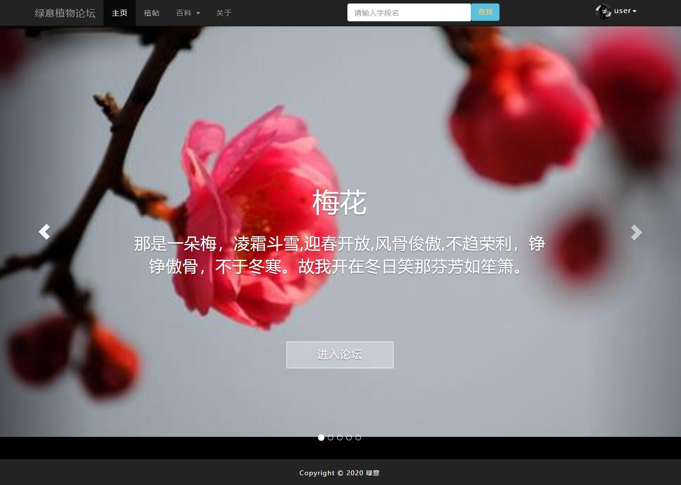 基于JSP+Servlet的植物知识交流论坛系统 - 项目主图界面截图预览
