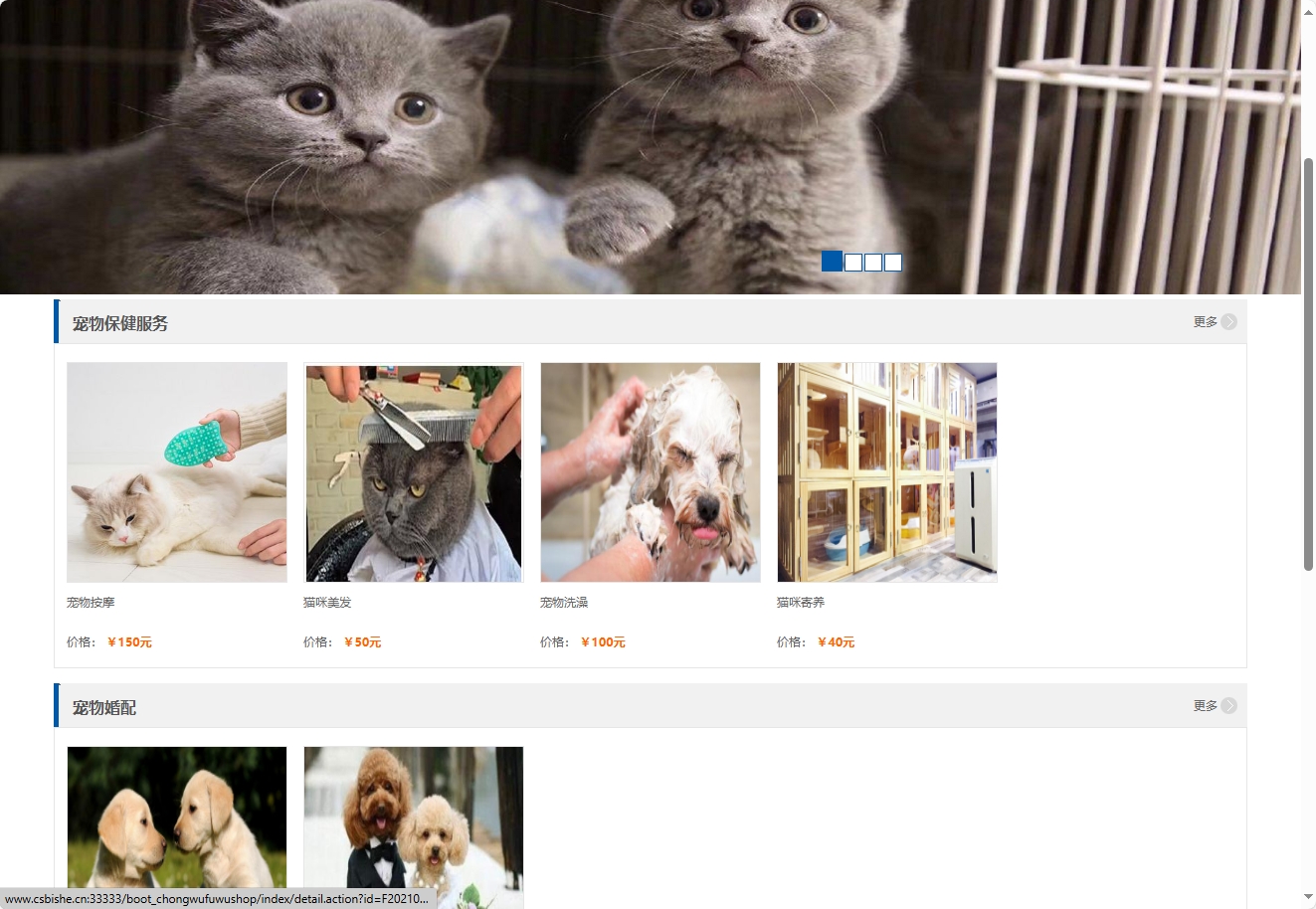 基于SpringBoot的宠物医疗美容服务管理系统 - 查看网站首页.png界面截图