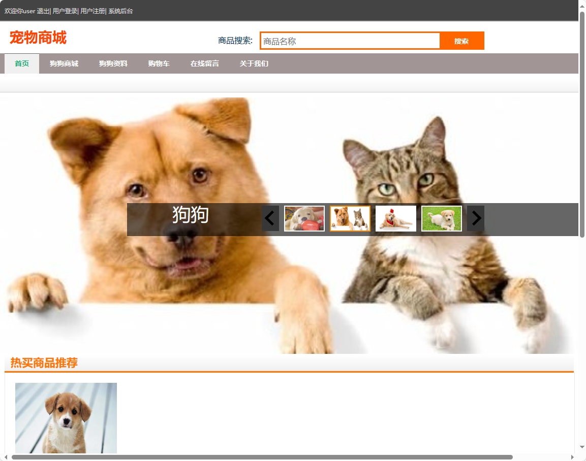 基于SSH框架的宠物商城管理系统 - 项目主图界面截图预览
