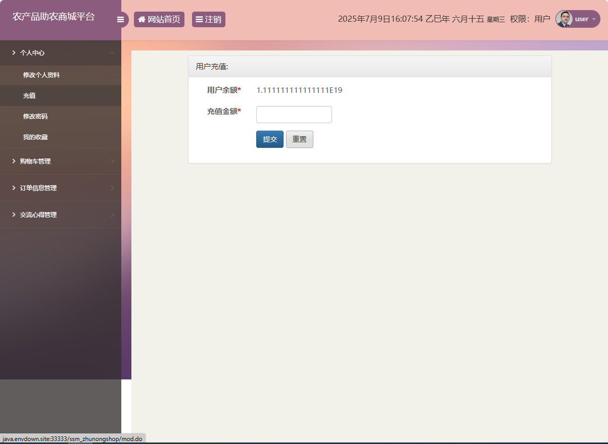 基于SSM的农产品助农销售平台 - 用户充值.png界面截图