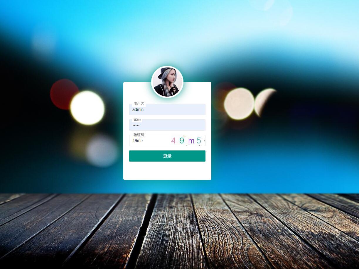 系统登录界面