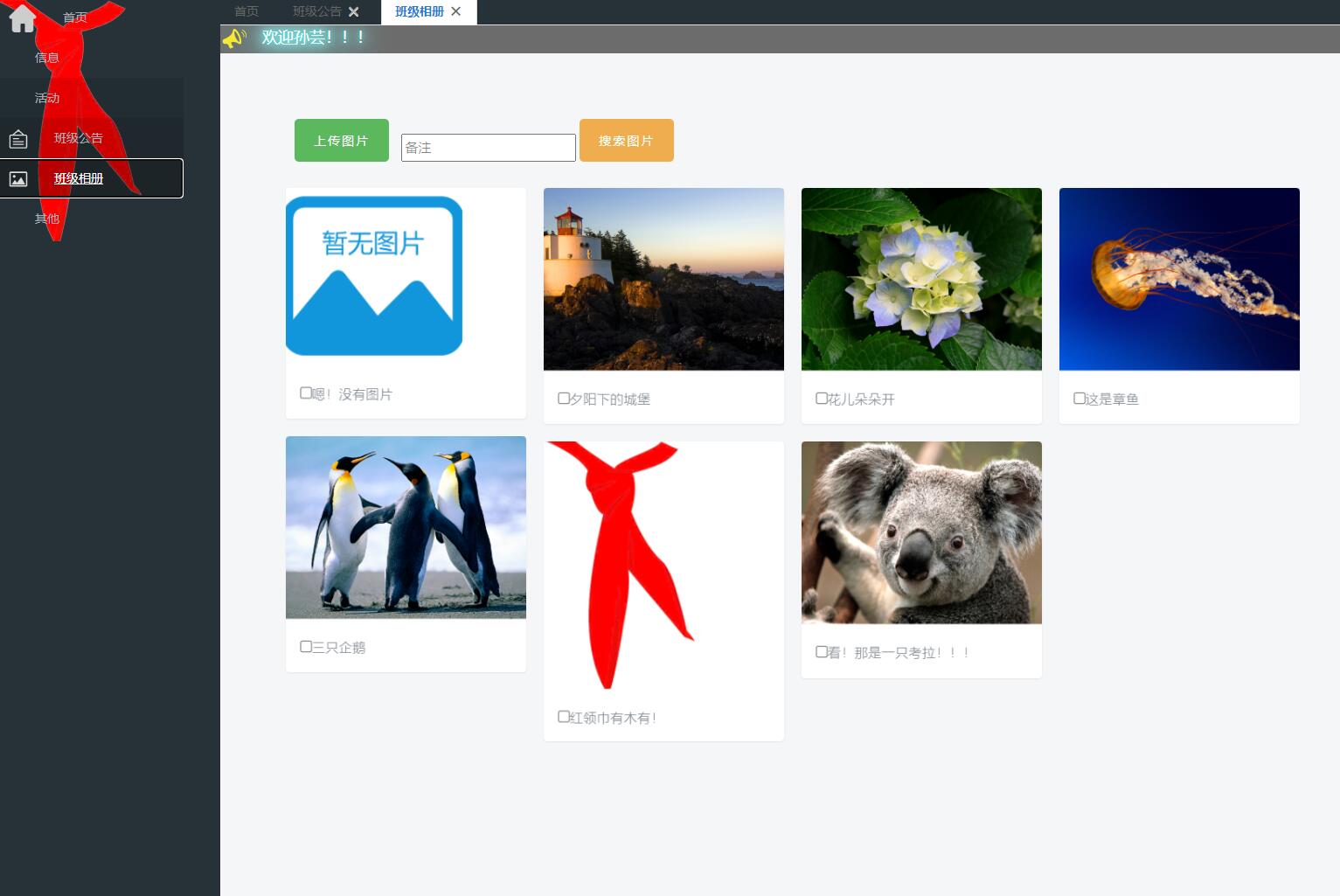 基于SSM框架的班级通讯录与名片管理系统 - 班级相册查看.jpg界面截图