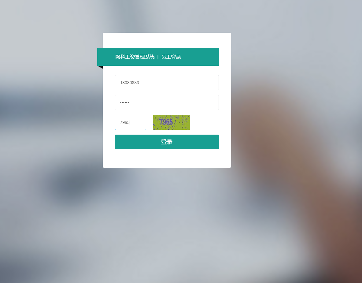 基于SSM框架的企业人事薪酬管理系统 - 项目主图界面截图预览