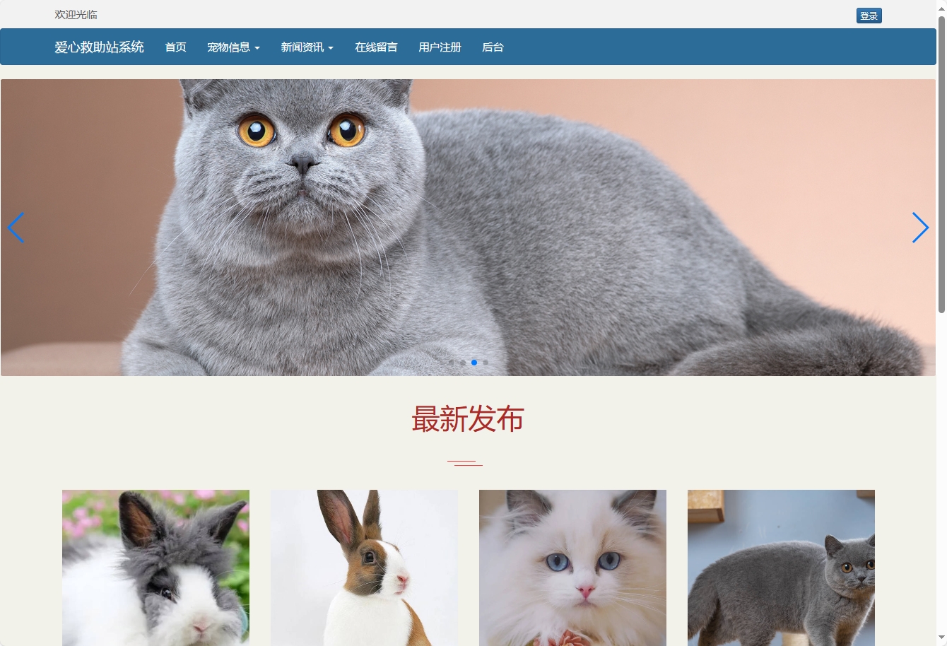 基于SSM的宠物领养救助管理系统 - 项目主图界面截图预览