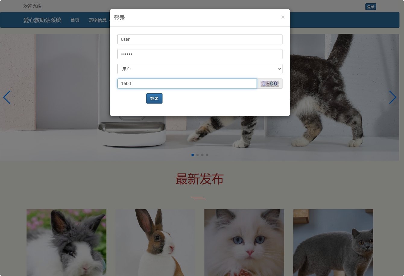 基于SSM的宠物领养救助管理系统 - 顾客登录.png界面截图