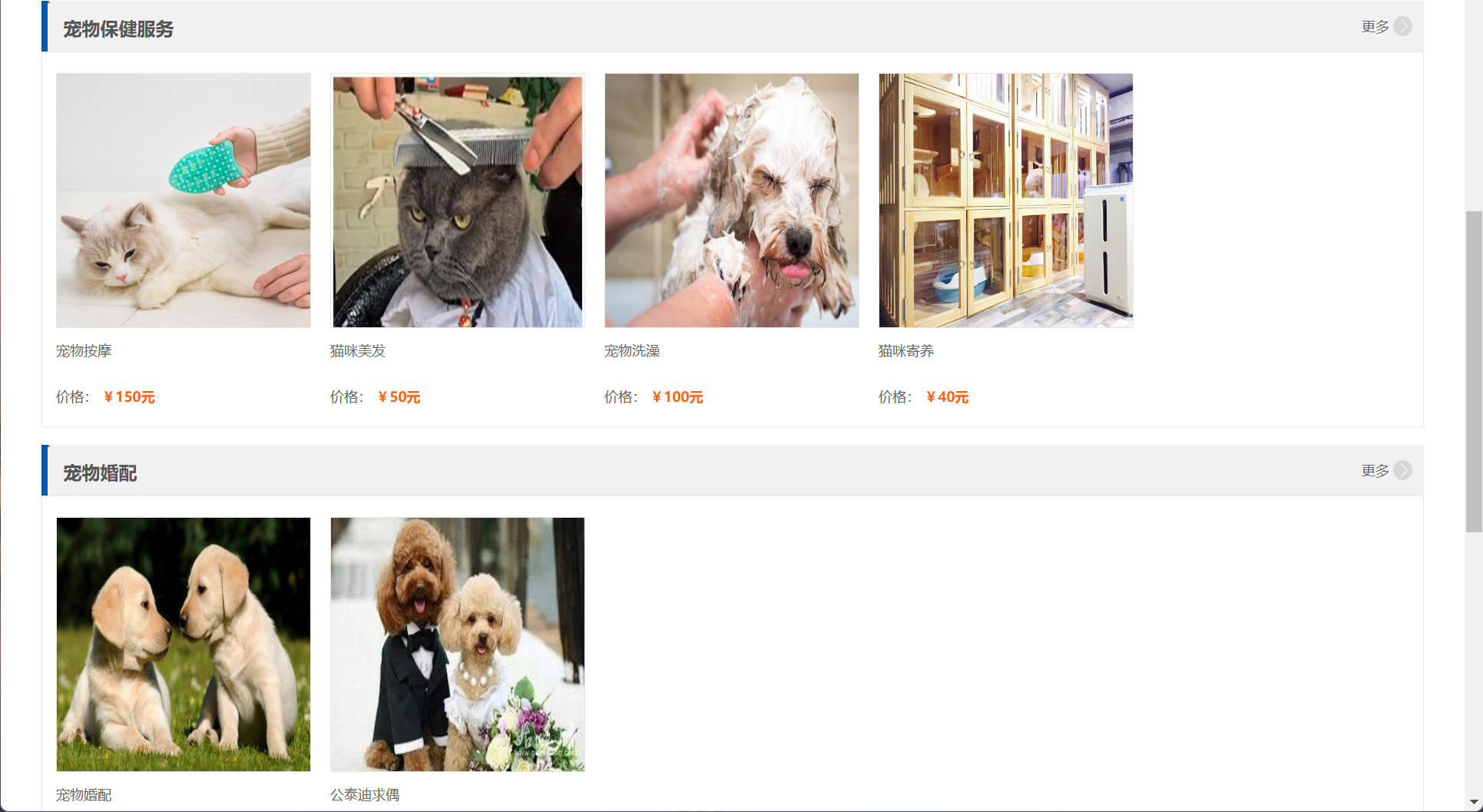 基于SSM框架的宠物医疗美容服务平台 - 查看宠物服务列表.jpg界面截图