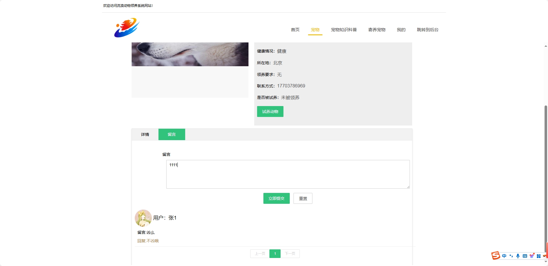 基于SSM框架的流浪动物救助收养平台 - 提交留言.png界面截图