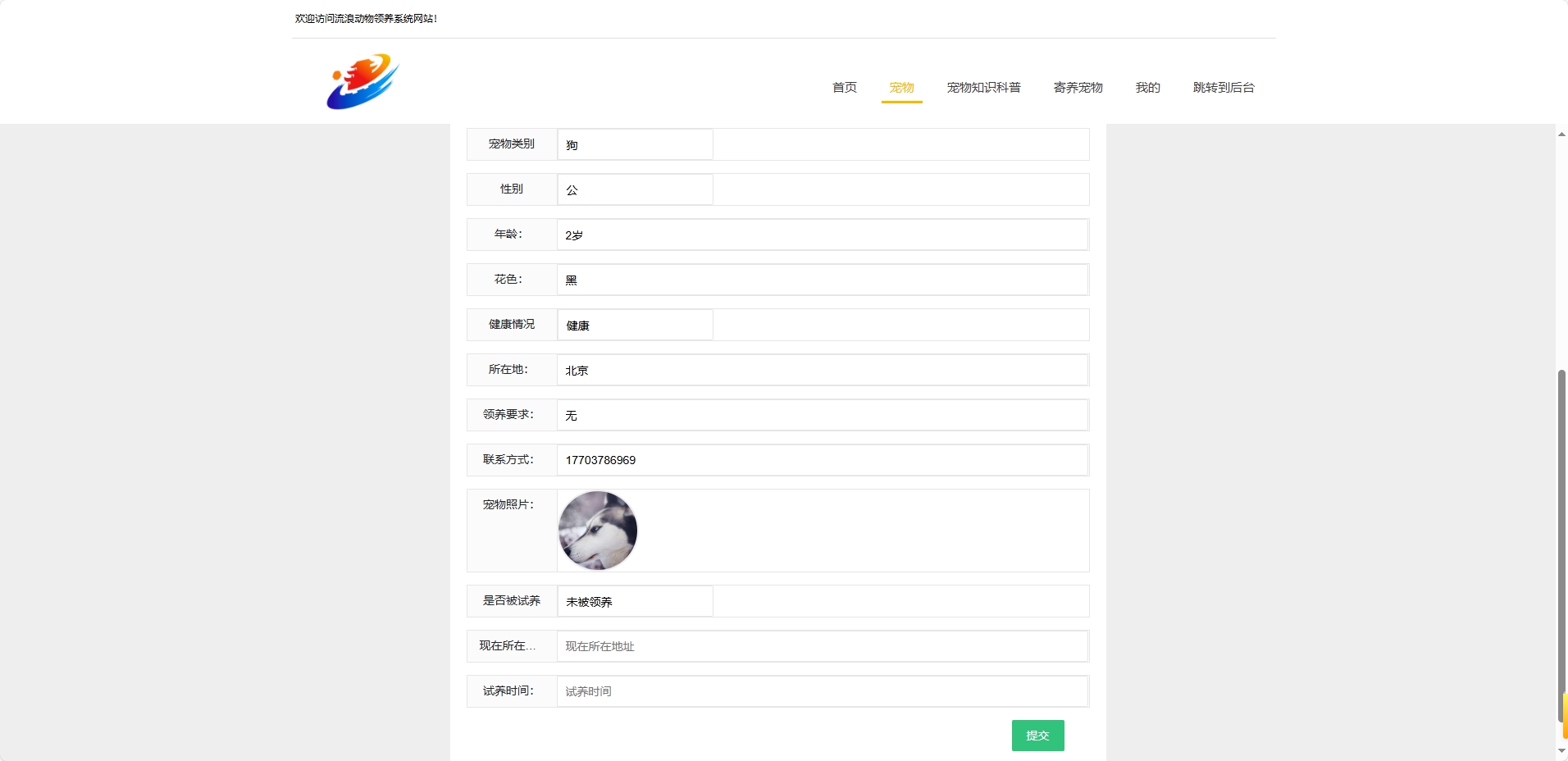 基于SSM框架的流浪动物救助收养平台 - 提交试养信息.png界面截图