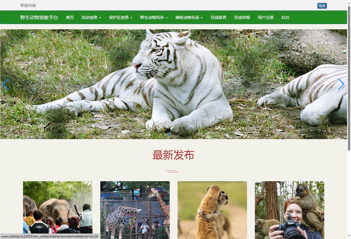 基于SSM框架的野生动物保护宣传平台 - 查看网站首页.png界面截图