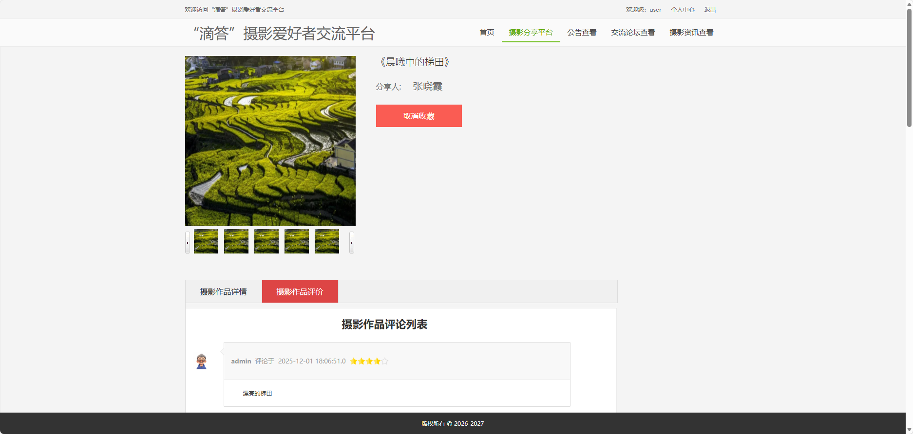 作品详情与评分界面